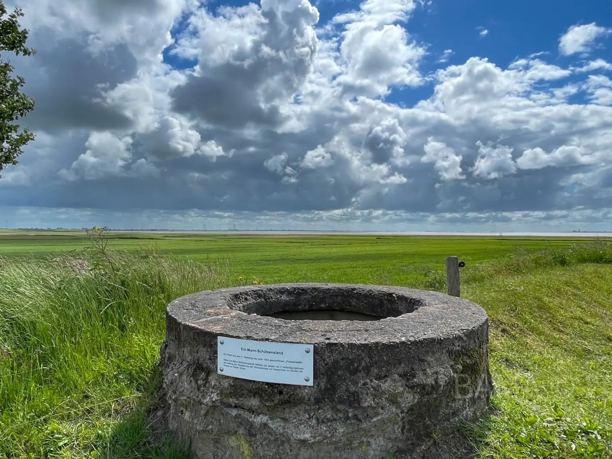 Der Friesenwall. An Unfinished Last-Ditch Coastal Defence&nbsp;System