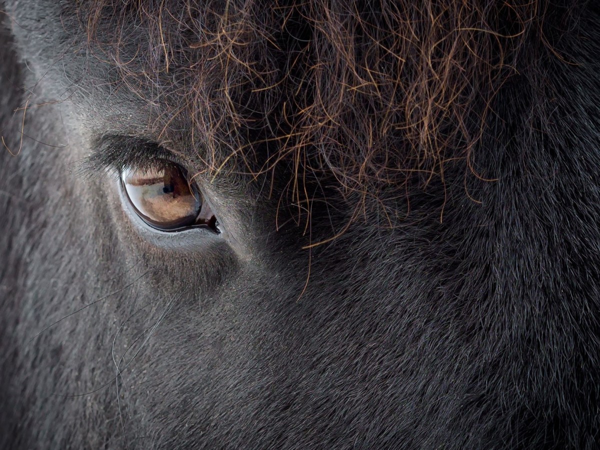 Don’t Believe Everything They Say About Sweet&nbsp;Cunera