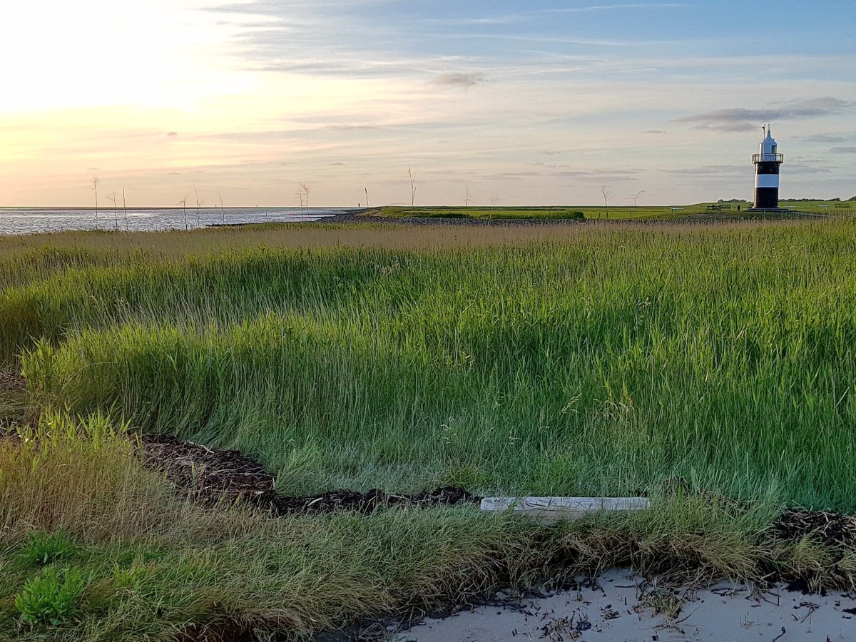 The Deer Hunter of Fallward, and His Throne of the&nbsp;Marsh