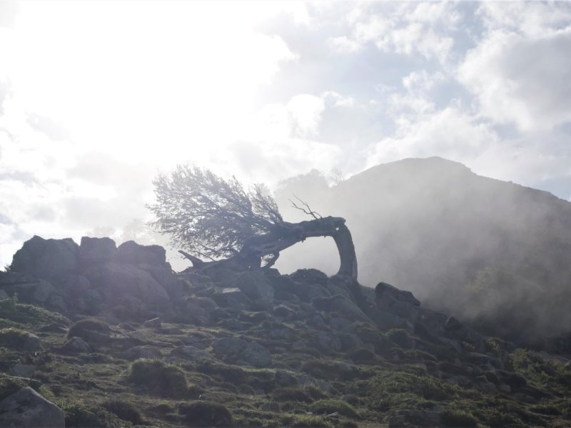 “The Man Wants Another Steak!” She Snapped at the Waitress — Hiking the&nbsp;GR20