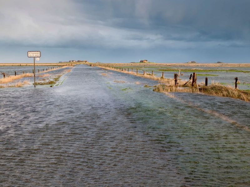 Between Leffinge and Misthusum — Understanding the Basics of&nbsp;Terps