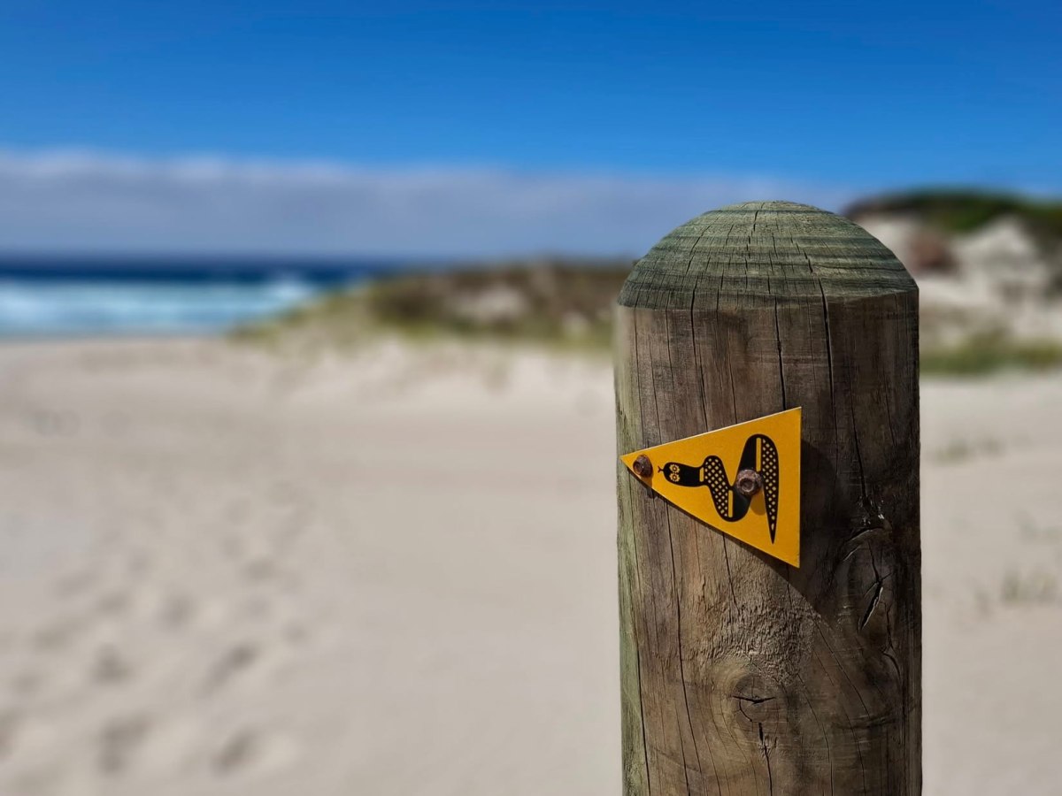 The Waugal, Protector of Fresh Water and New Life — Hiking the Bibbulmun&nbsp;Track